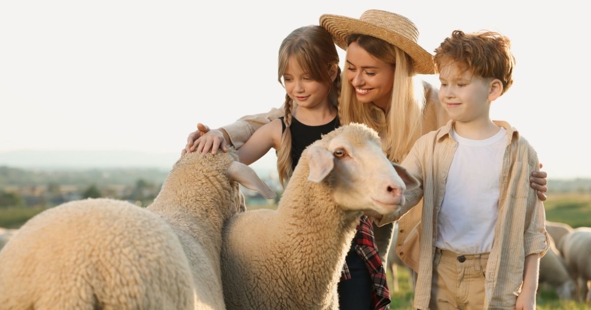 World Animal Day