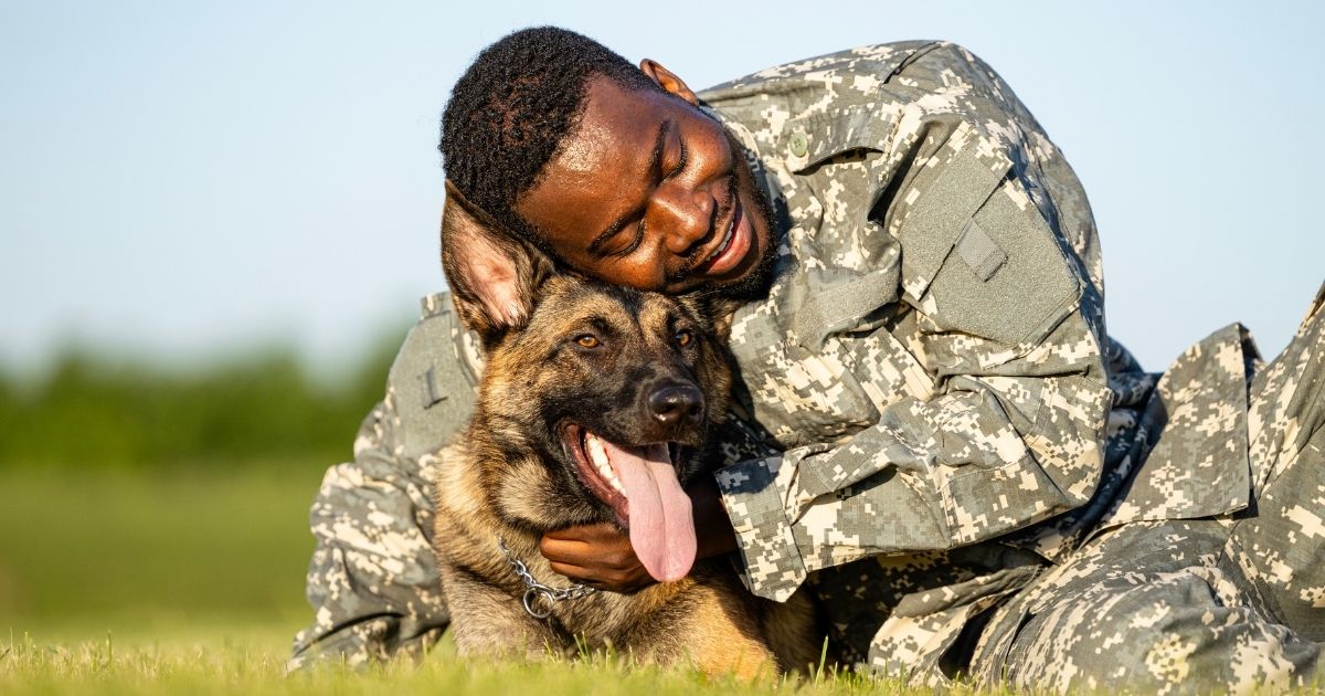 National K9 Veterans Day