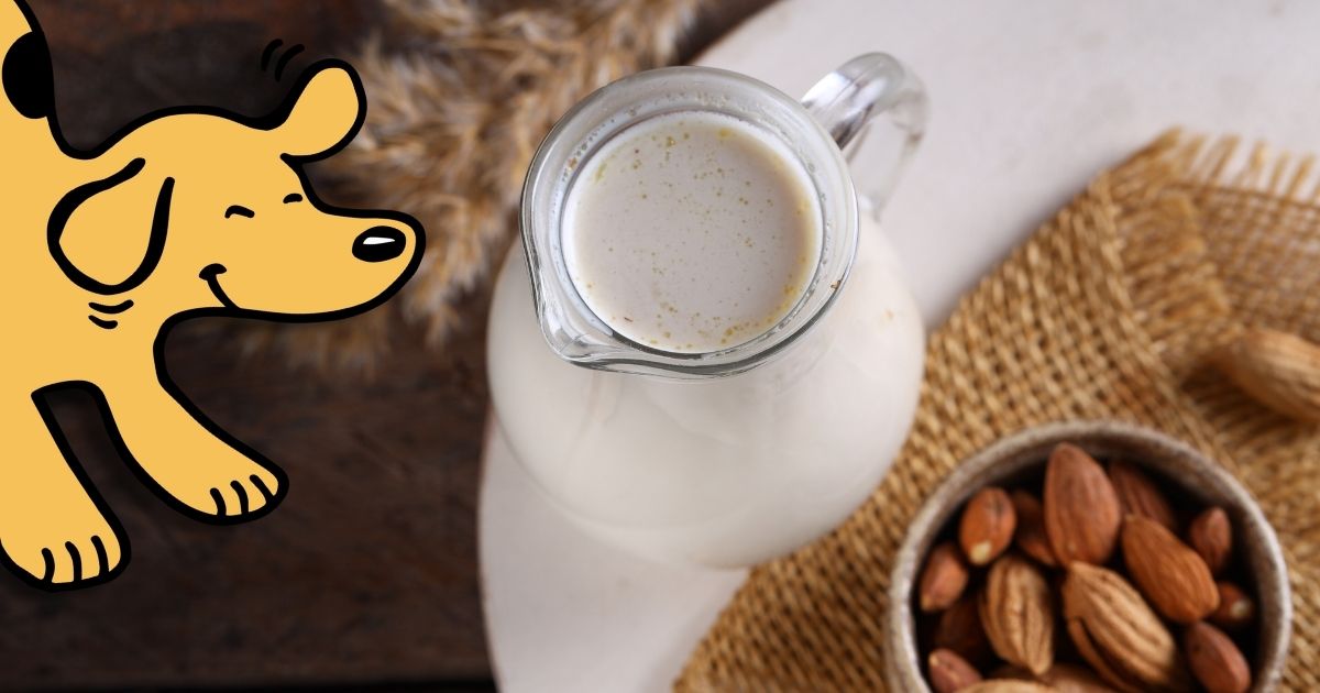 Can Dogs Have Almond Milk