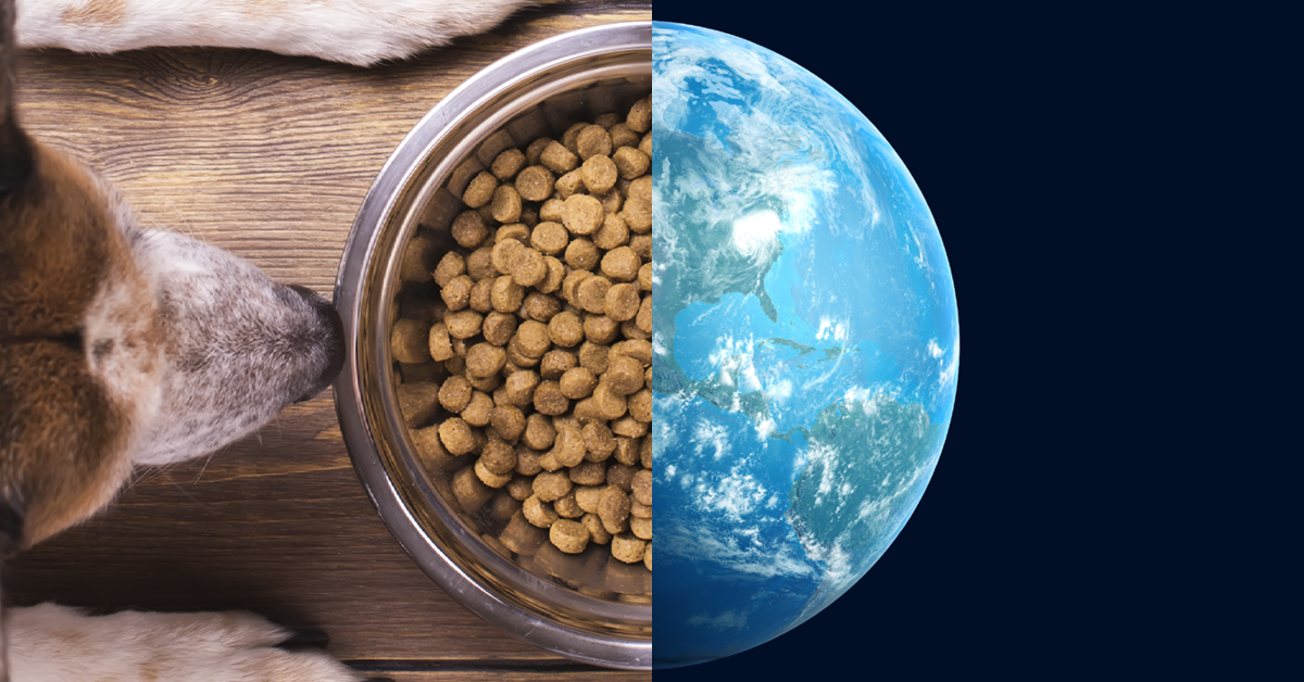 MSC certified salmon oil for dogs