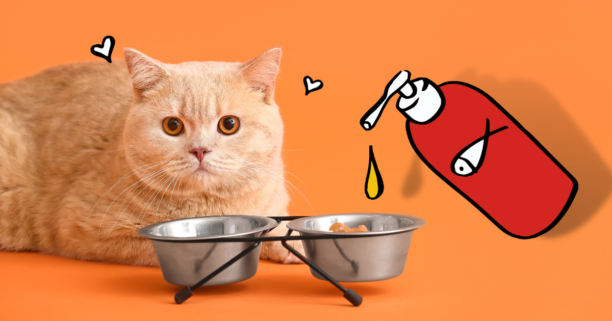 Sammy’s Salmon Oil