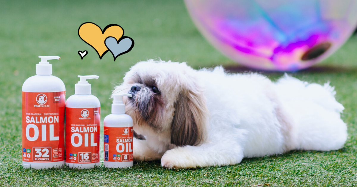 Vital pet 2024 life salmon oil