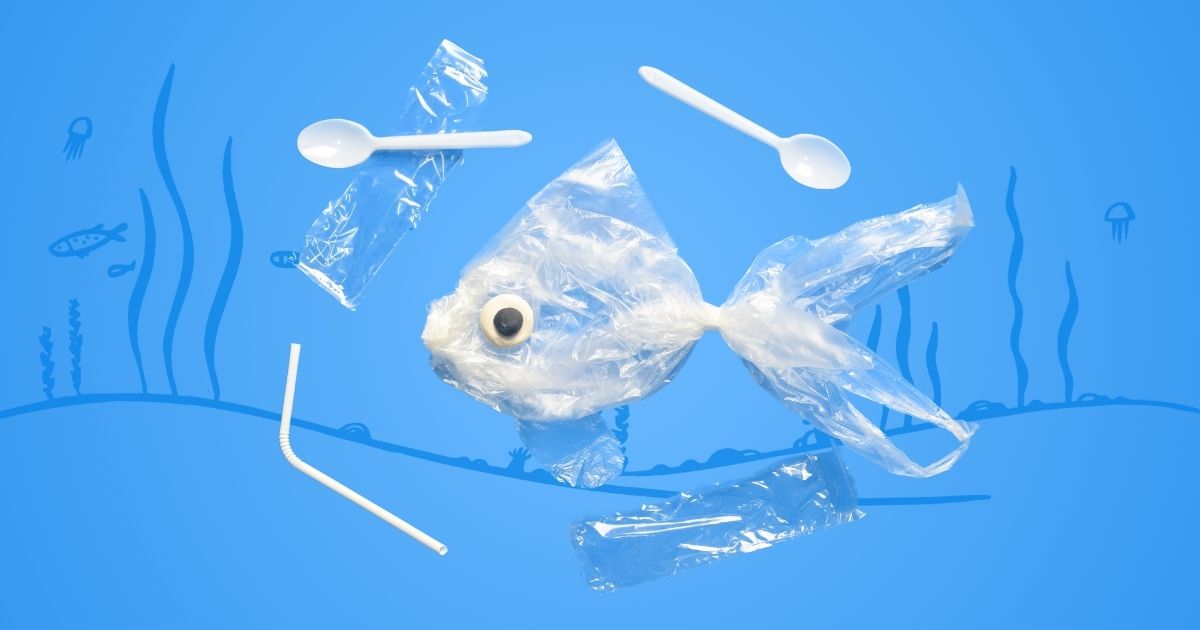 Vital Pet Life Partners with rePurpose Global to Combat Plastic Pollution