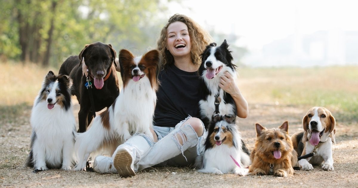 6 Ways to Promote Health and Wellness of Your Pets