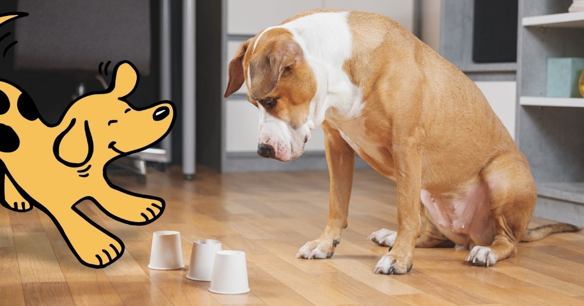 Engaging Minds and Tails: The World of Mind Games for Pets