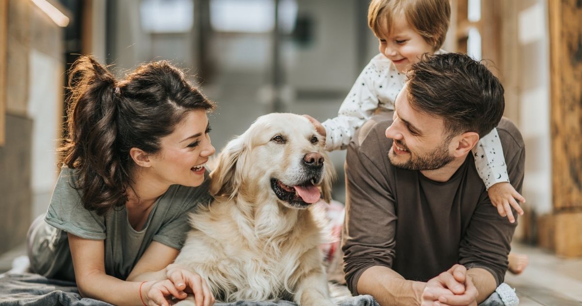 Ways to Celebrate National Pet Week