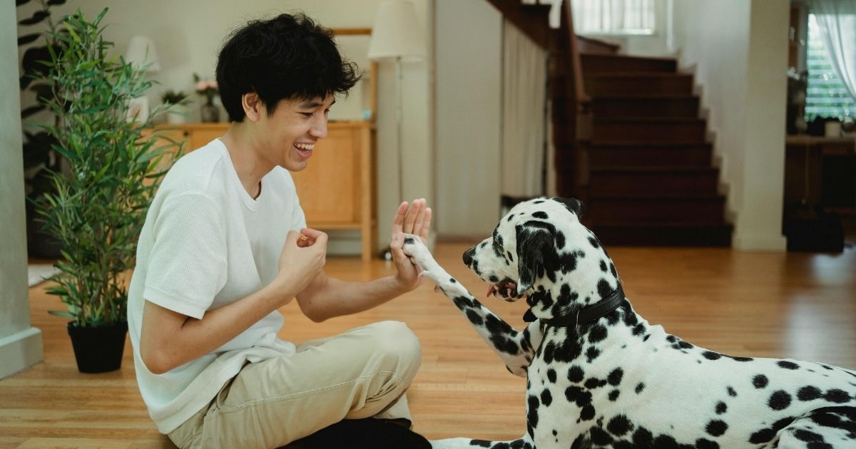 Want a Healthy Heart? Get a Dog!