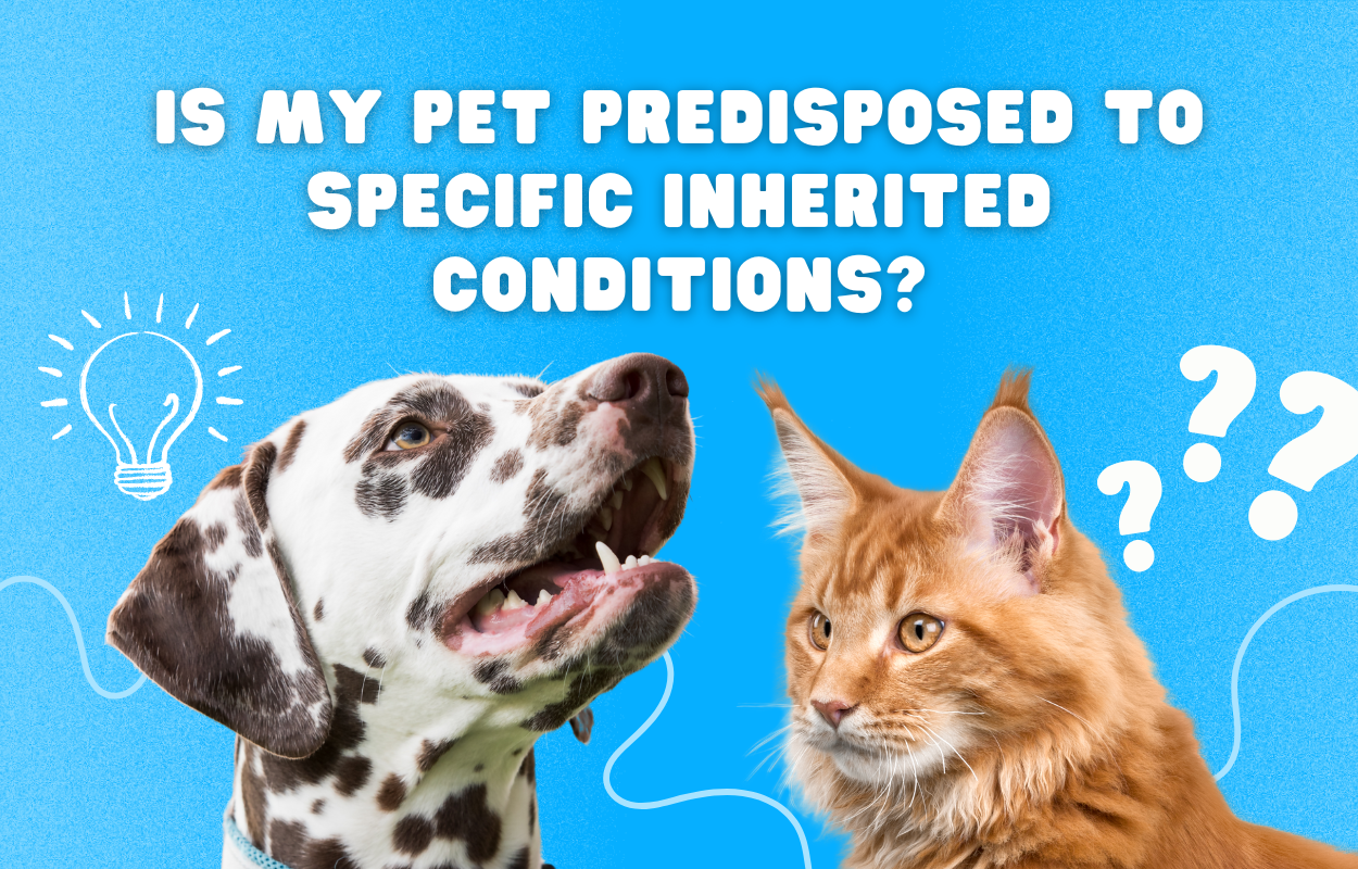 Hereditary Diseases in Dogs and Cats