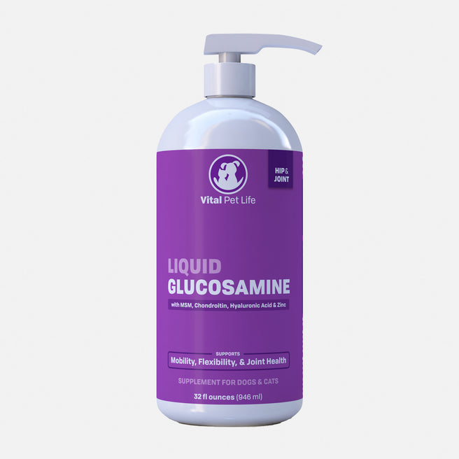 Liquid Glucosamine MSM Chondroitin