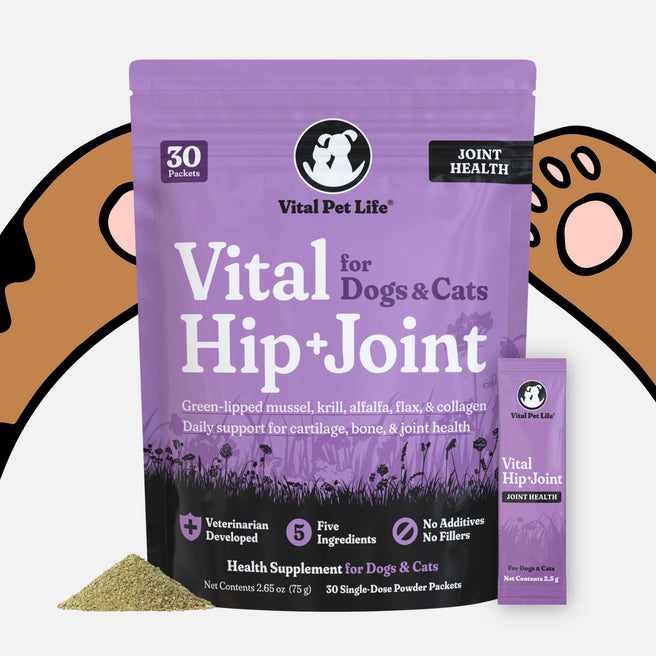 Vital Hip & Joint for Dogs and Cats