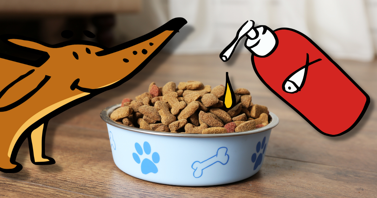 Side effects of salmon oil for dogs