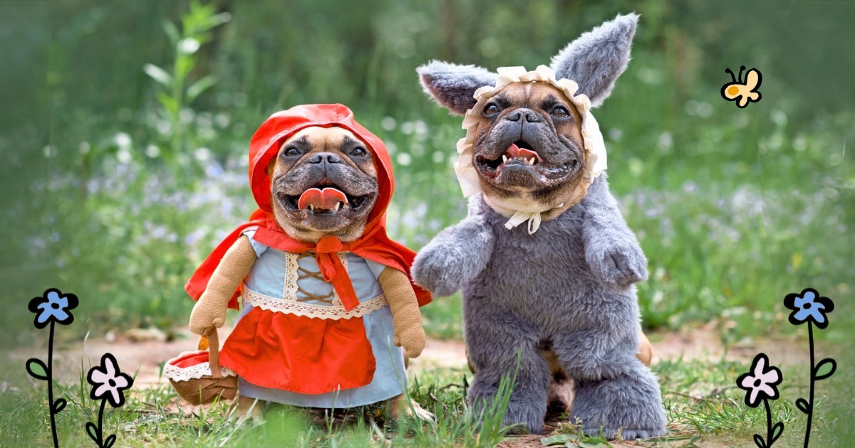 National Dress Up Your Pet Day!