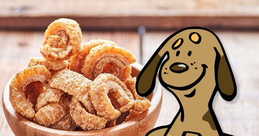 Can Dogs Eat Pork Rinds? Understanding the Risks and Precautions