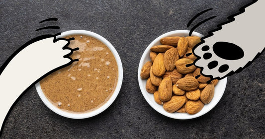 Almond Butter and Dogs: Unveiling the Pawsibilities of this Nutritious Spread