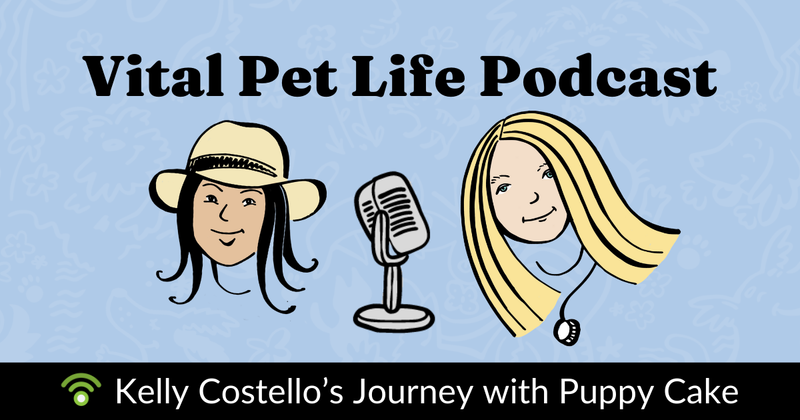 How Puppy Cake Brings Love and Fun to Pet Milestones– Kelly Costello’s Journey with Puppy Cake