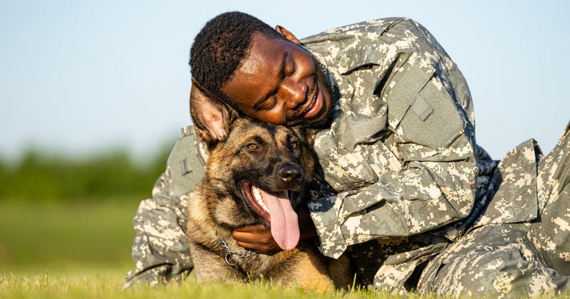 National K9 Veterans Day