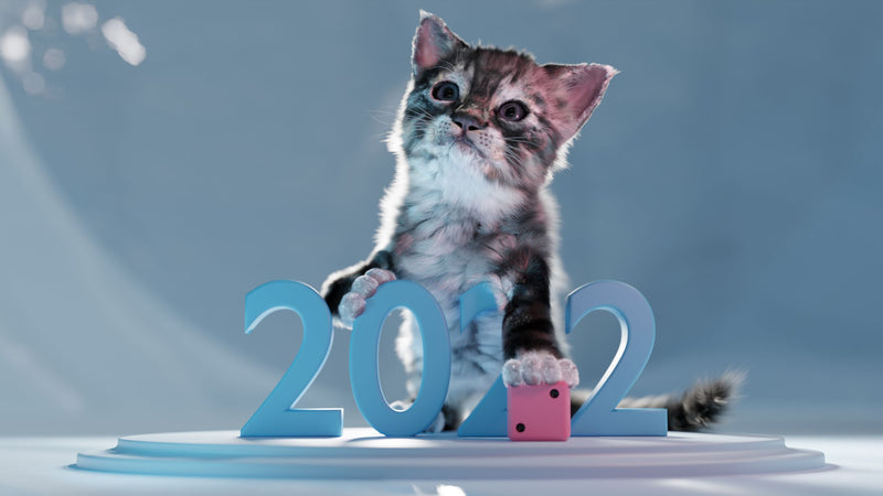 New Year 2021
