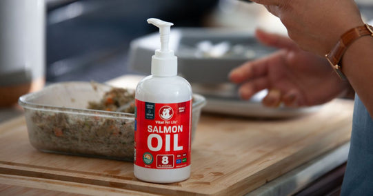 Salmon Oil for Dogs