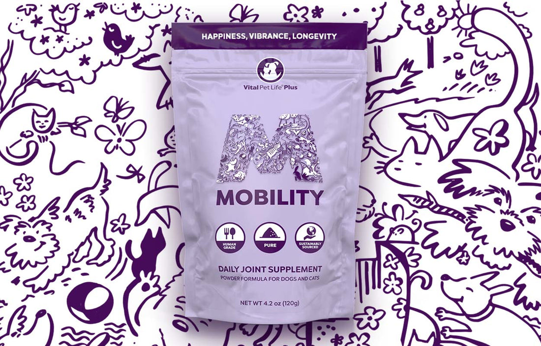 Mobility Powder