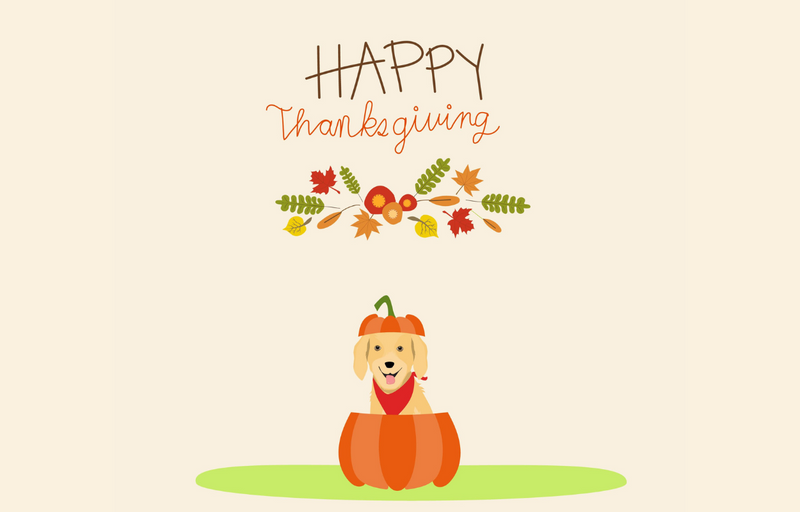 Thanksgiving for your pet