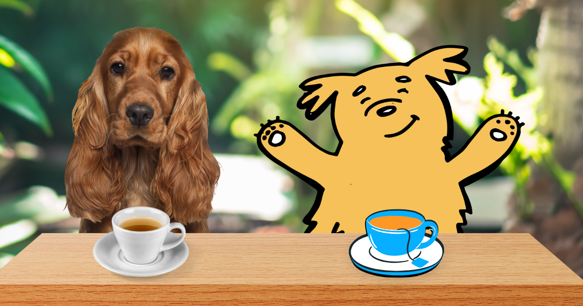 Can Dogs Drink Tea