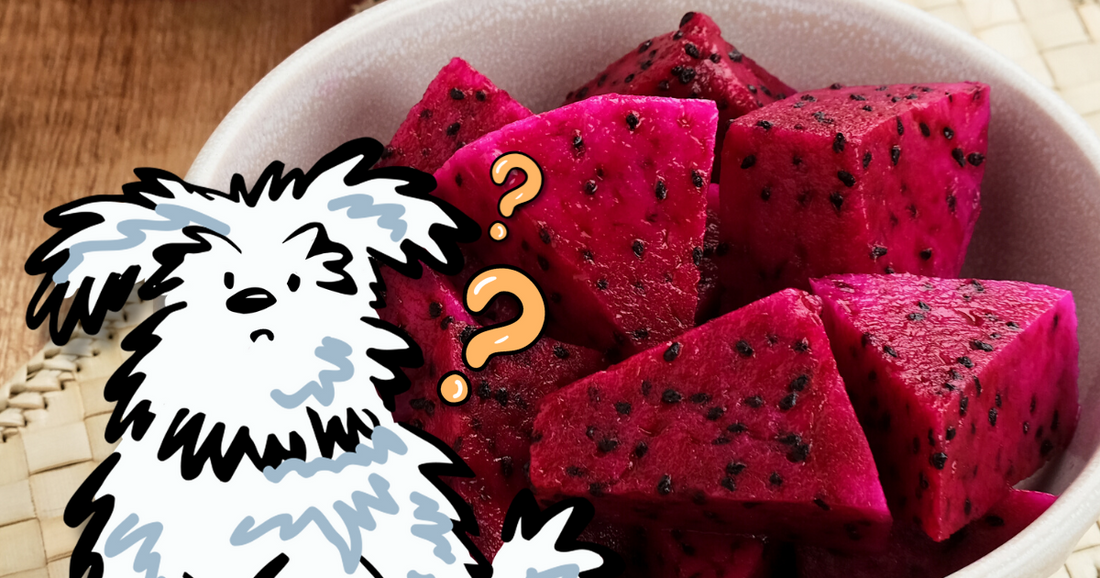 Is dragon fruit bad new arrivals for dogs