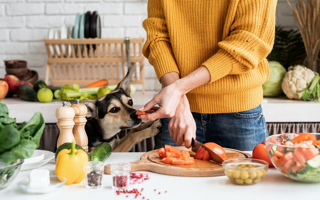 Recipes for National Cook for Your Pet Day