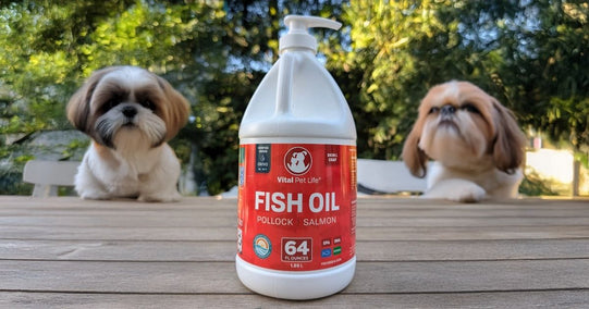 How to Choose the Best Fish Oil Supplement for Dogs and Cats