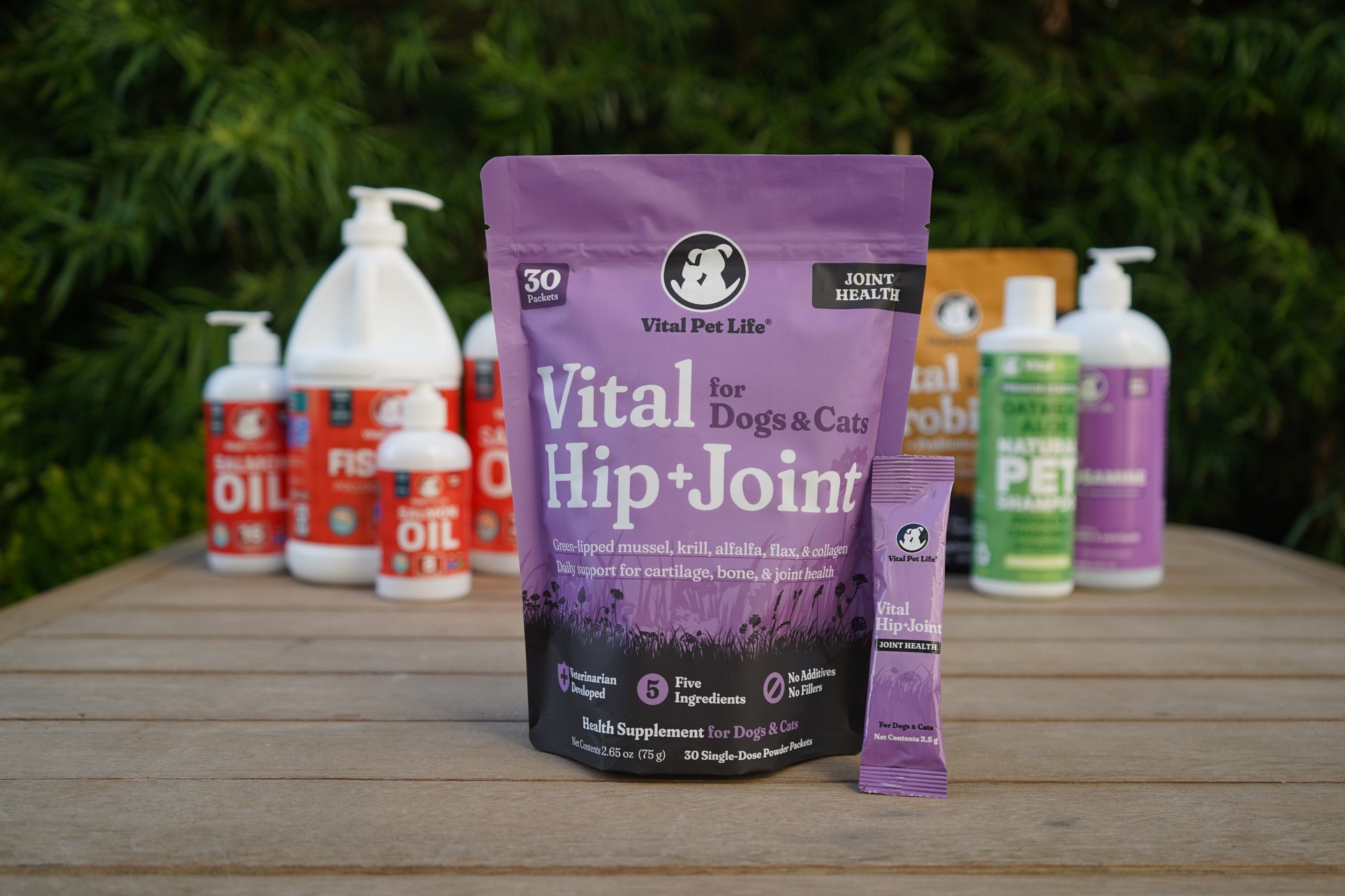 Breaking It Down with Dr. Amber: Importance of Vital Hip + Joint for Dogs and Cats