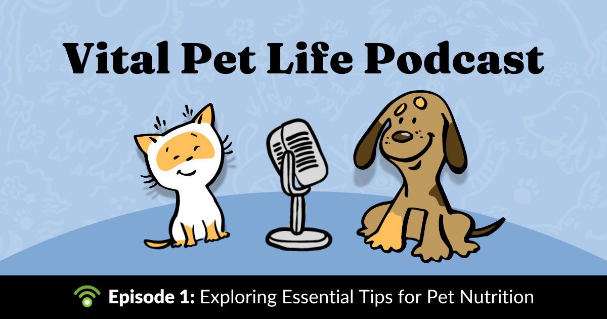 Vital Pet Life Podcast: Expert Pet Nutrition Tips & Natural Health Solutions