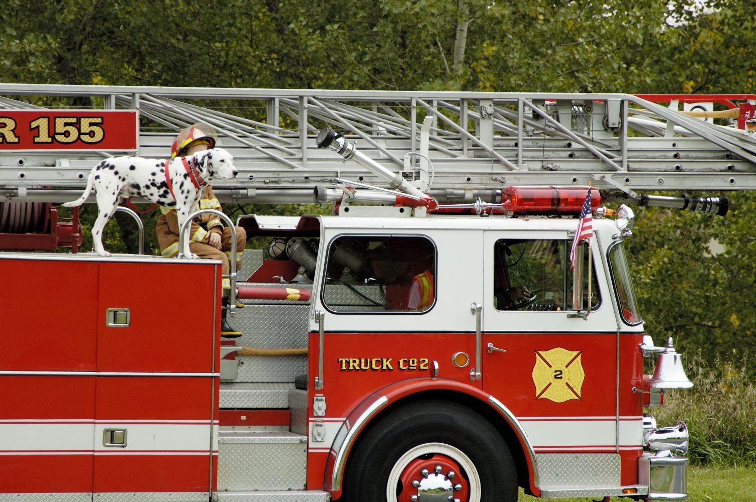 Dog in Firetruck