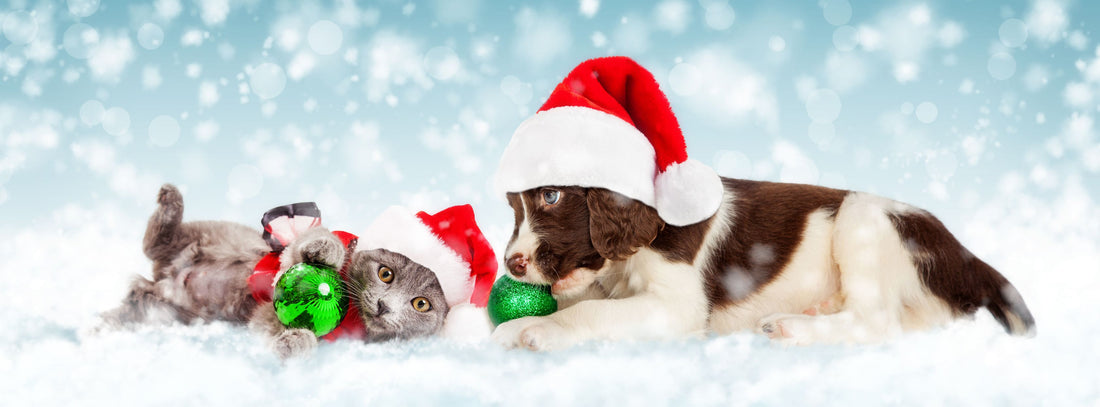 Happy Holidays from Vital Pet Life