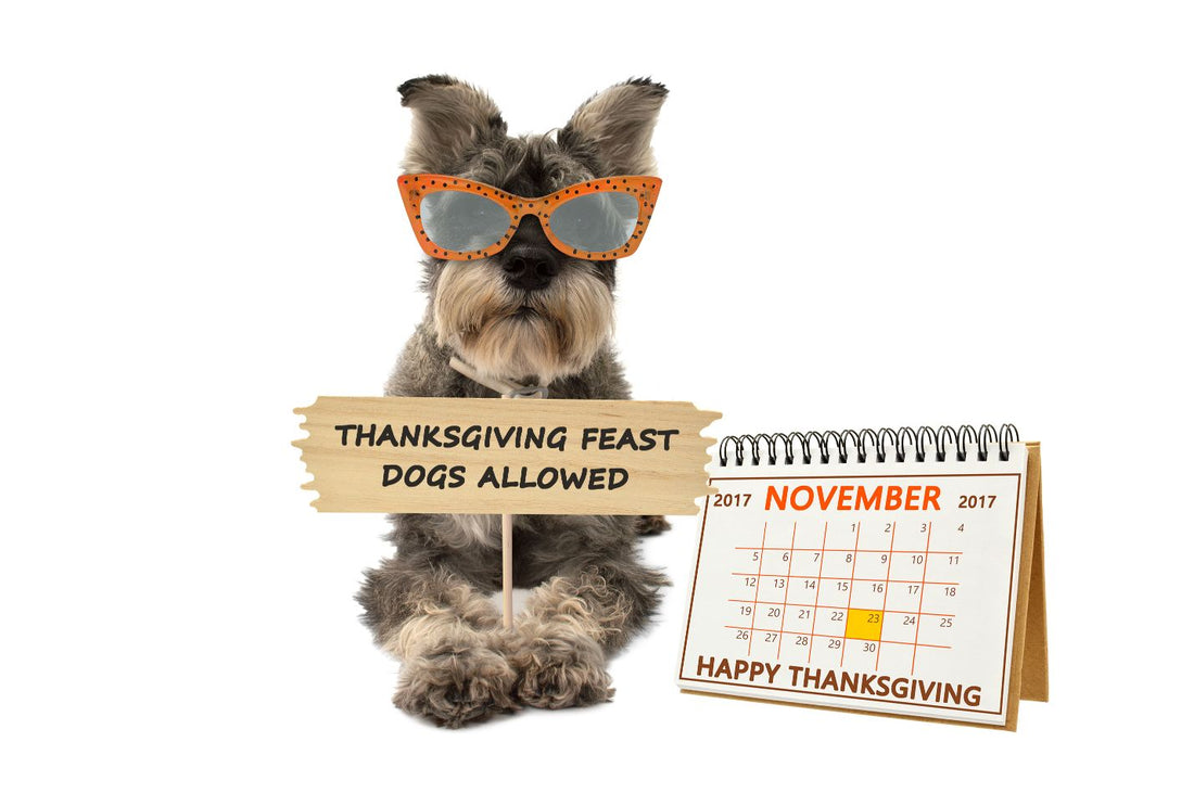 Thanksgiving Tips