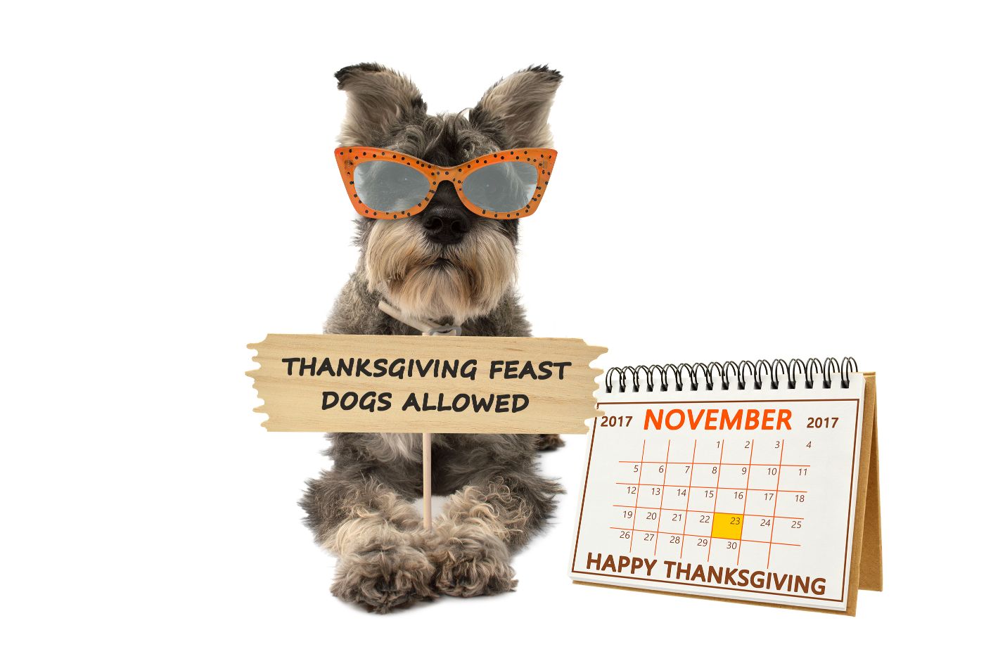 Thanksgiving Tips