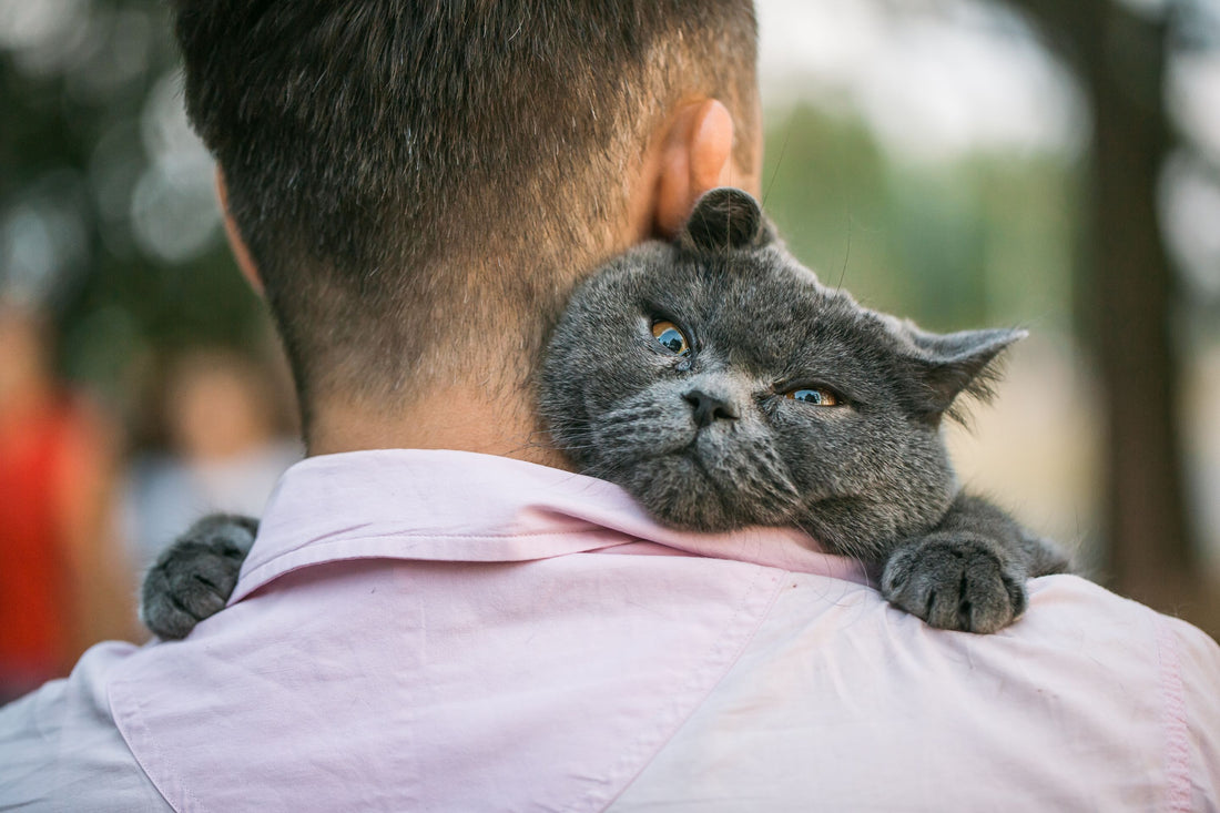 Owner hugging cat