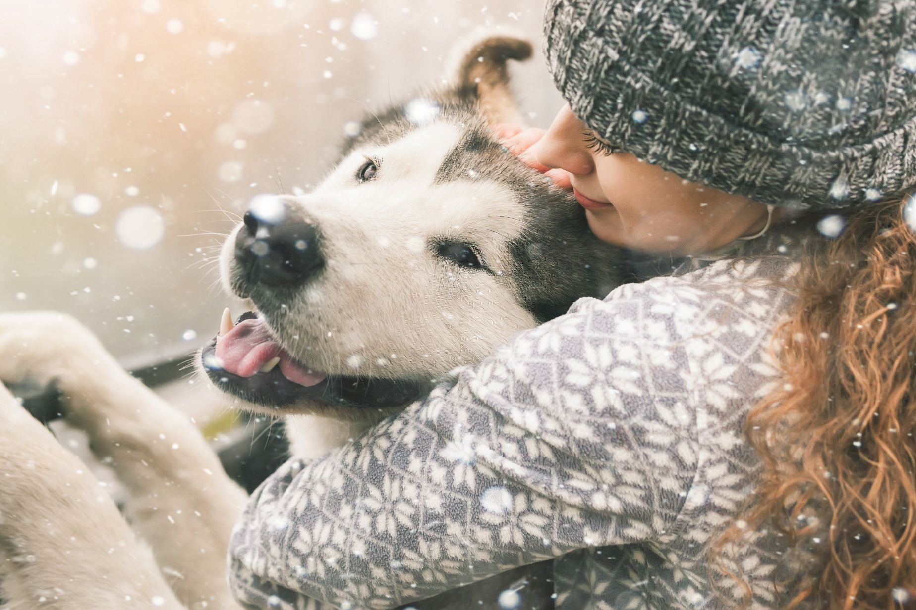 Fur parent hugging dog