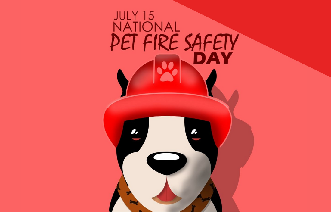 National Pet Fire Safety Day Vital Pet Life