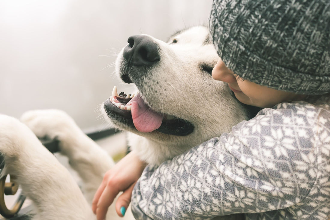Fur parent cuddling with dog