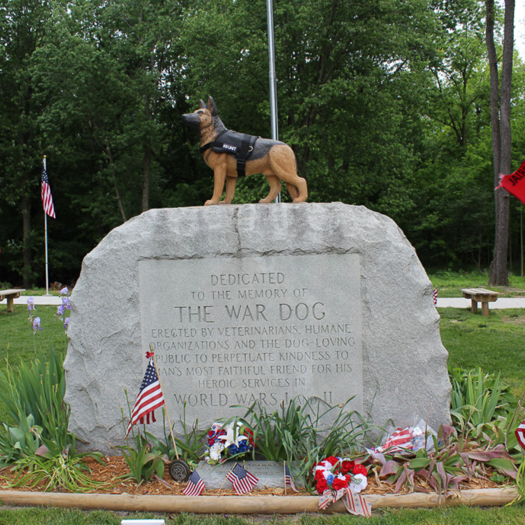 National K9 Veterans Day