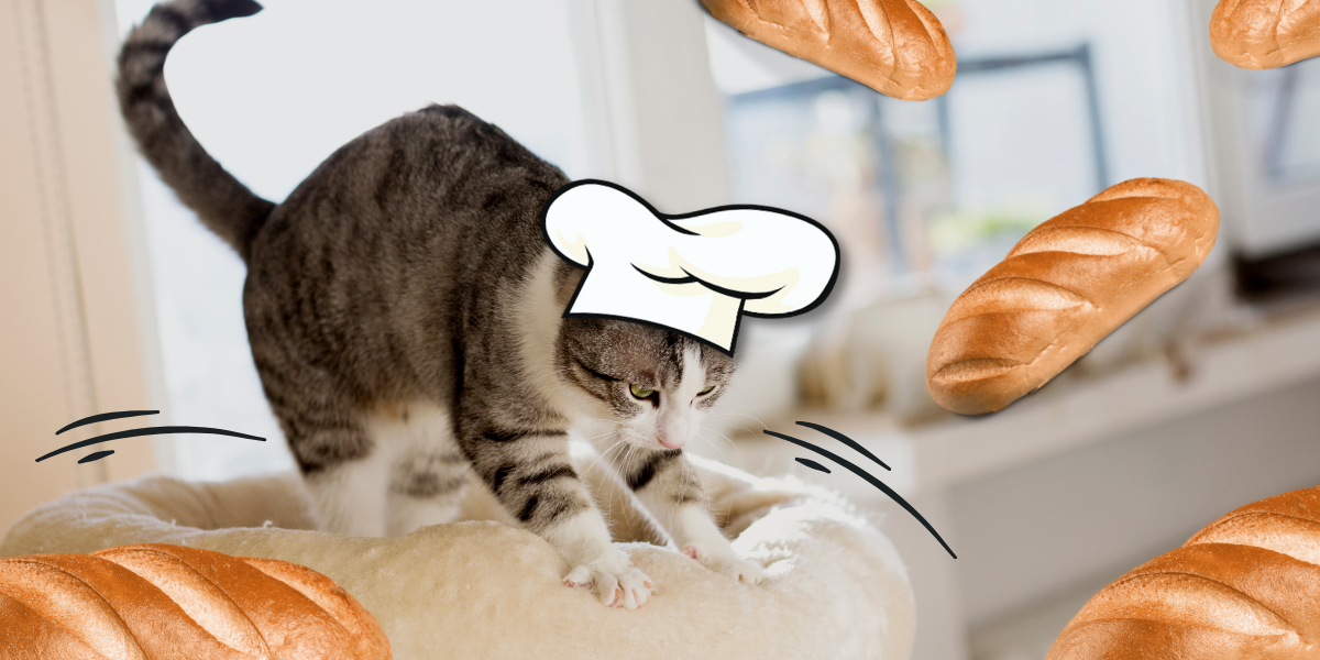 Soft Pink Paws The Kneading Cat Vital Pet Life