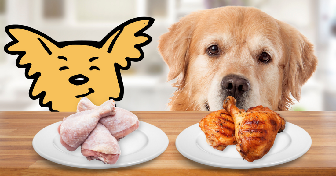The Truth About Raw and Cooked Chicken: Can Dogs Eat It?