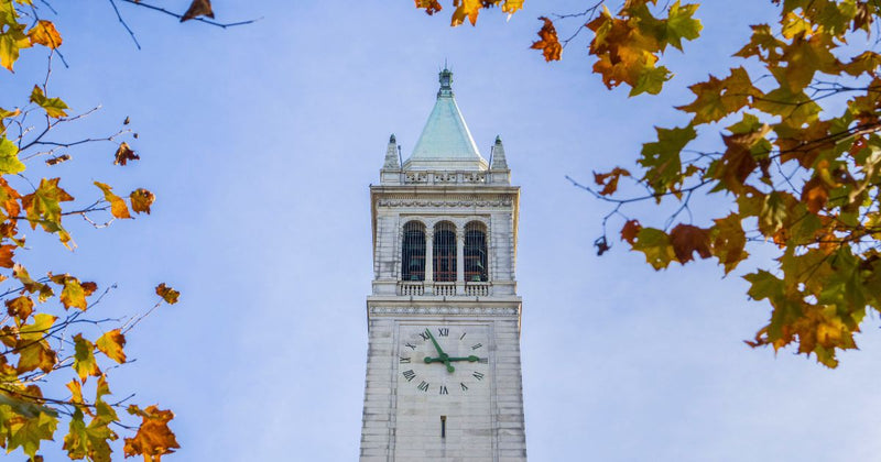 Donie's Berkeley Experience: Women’s Executive Leadership Program