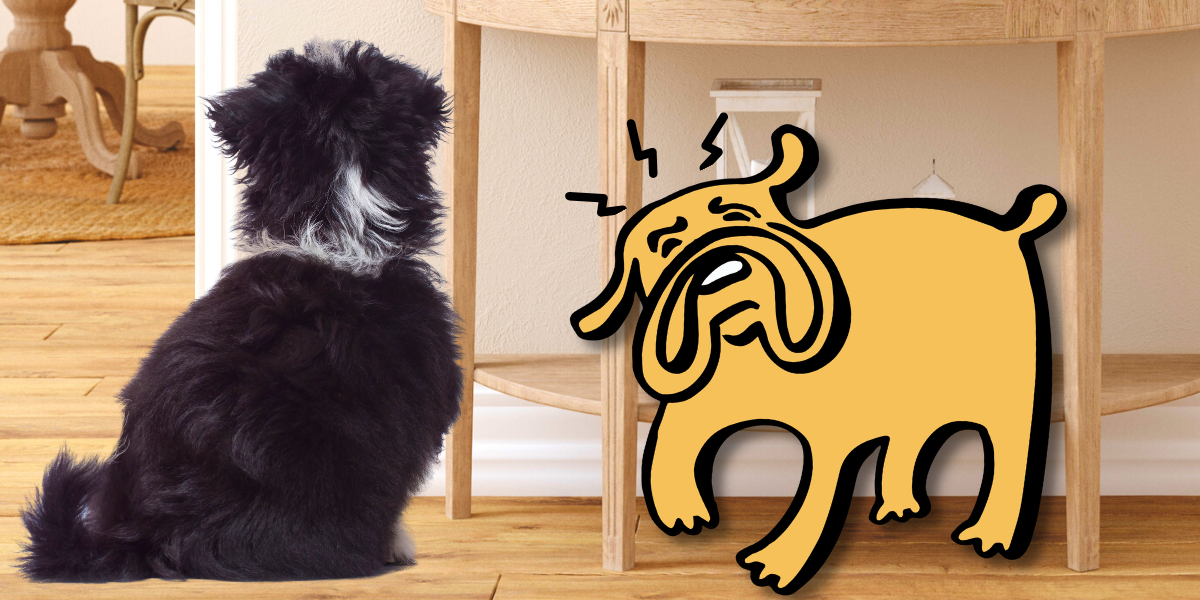 Understanding Dog Head Pressing Causes, Symptoms, and Treatment