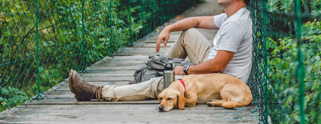 Service Animals for veterans