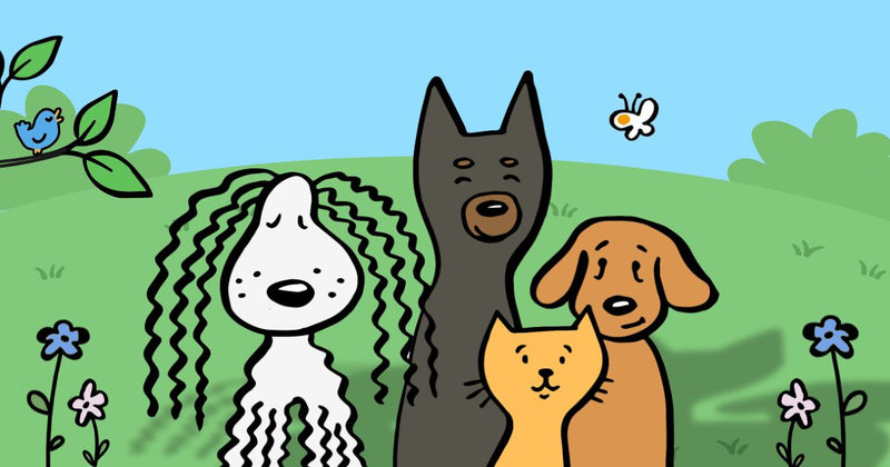 Welcome to Vital Pet Life Blog!