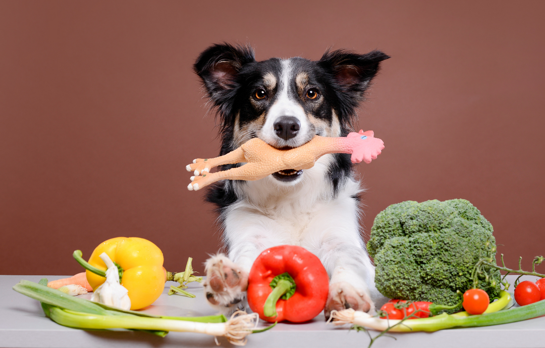 Do dogs eat 2024 vegetables