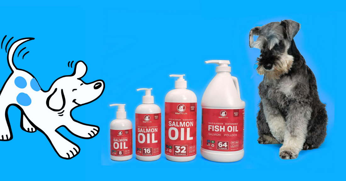 Best salmon oil shop for dogs