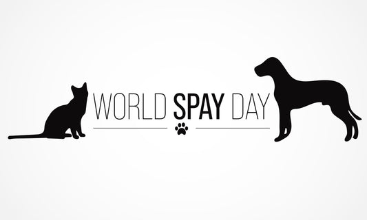 World Spay Day