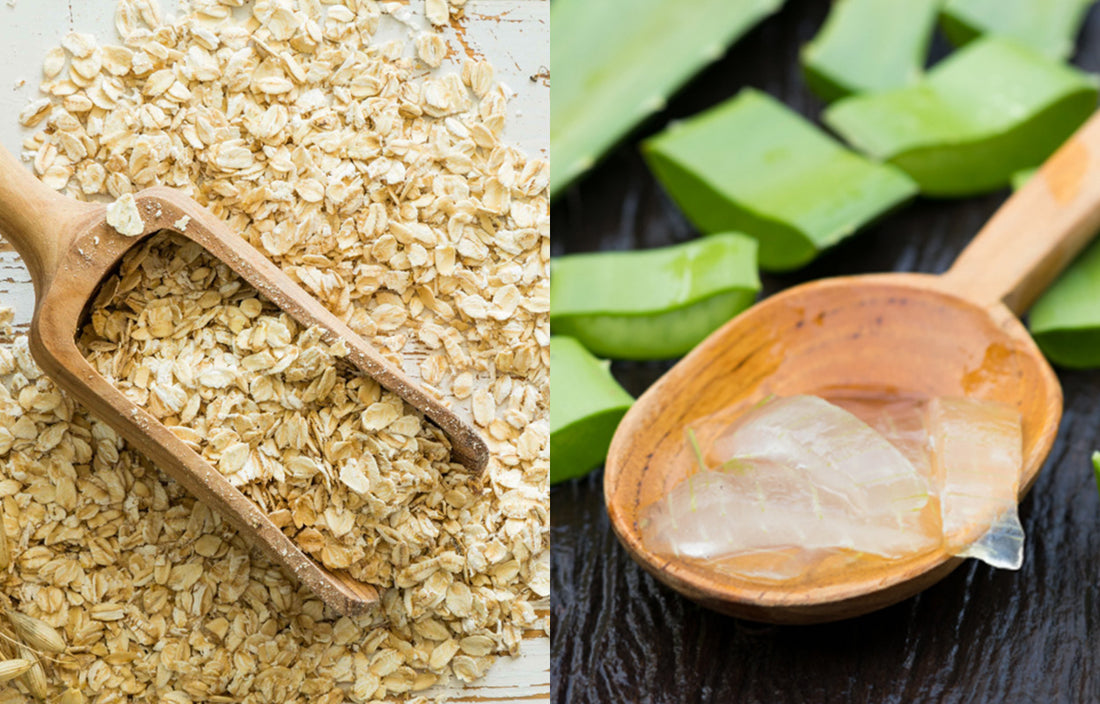 Benefits of Oatmeal and Organic Aloe Vera Extract