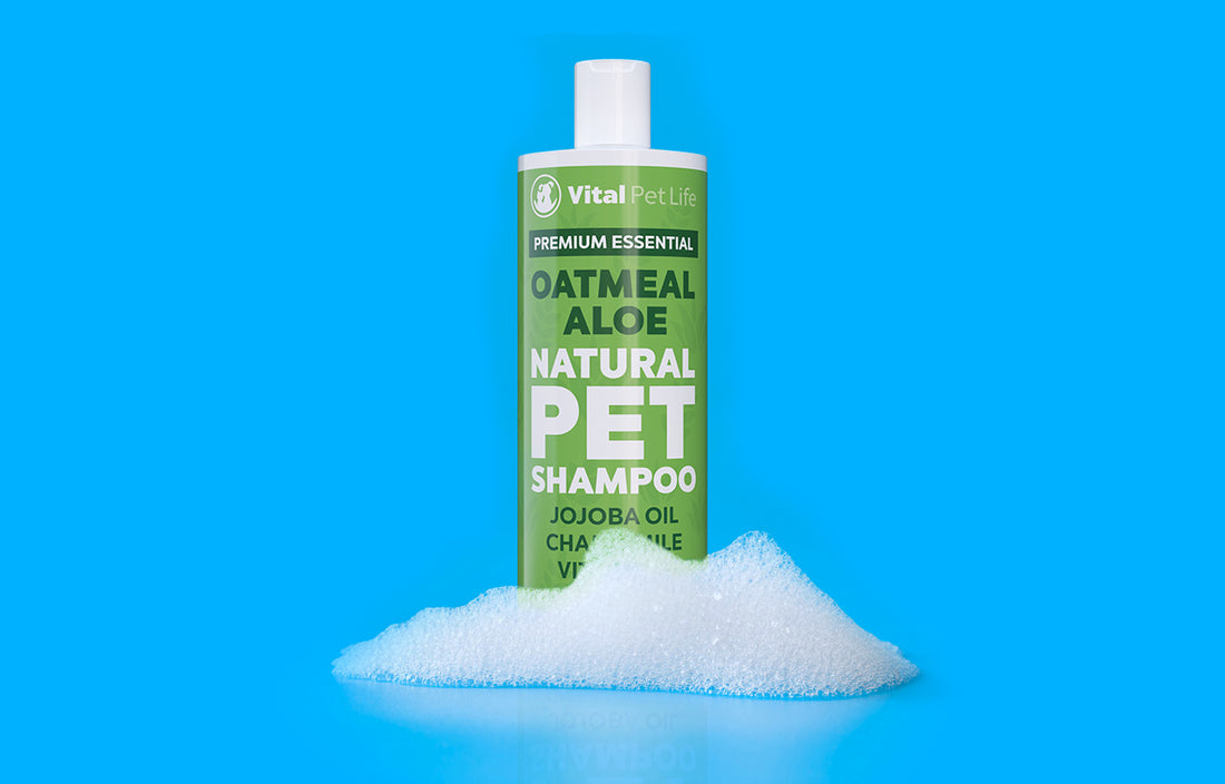 Oatmeal Aloe Natural Pet Shampoo
